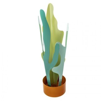 RAIN PLANT SELETTI