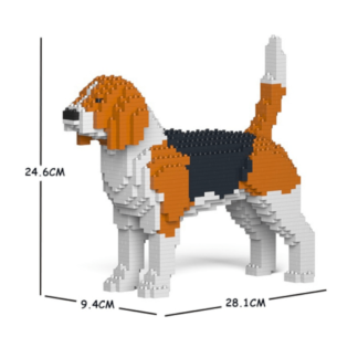 BEAGLE-COSTRUZIONE