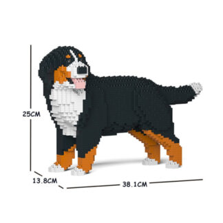 BERNESE MOUNTAIN DOG COSTRUZIONE