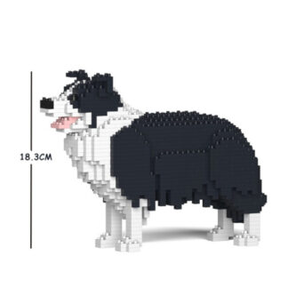 BORDER COLLIE COSTRUZIONE