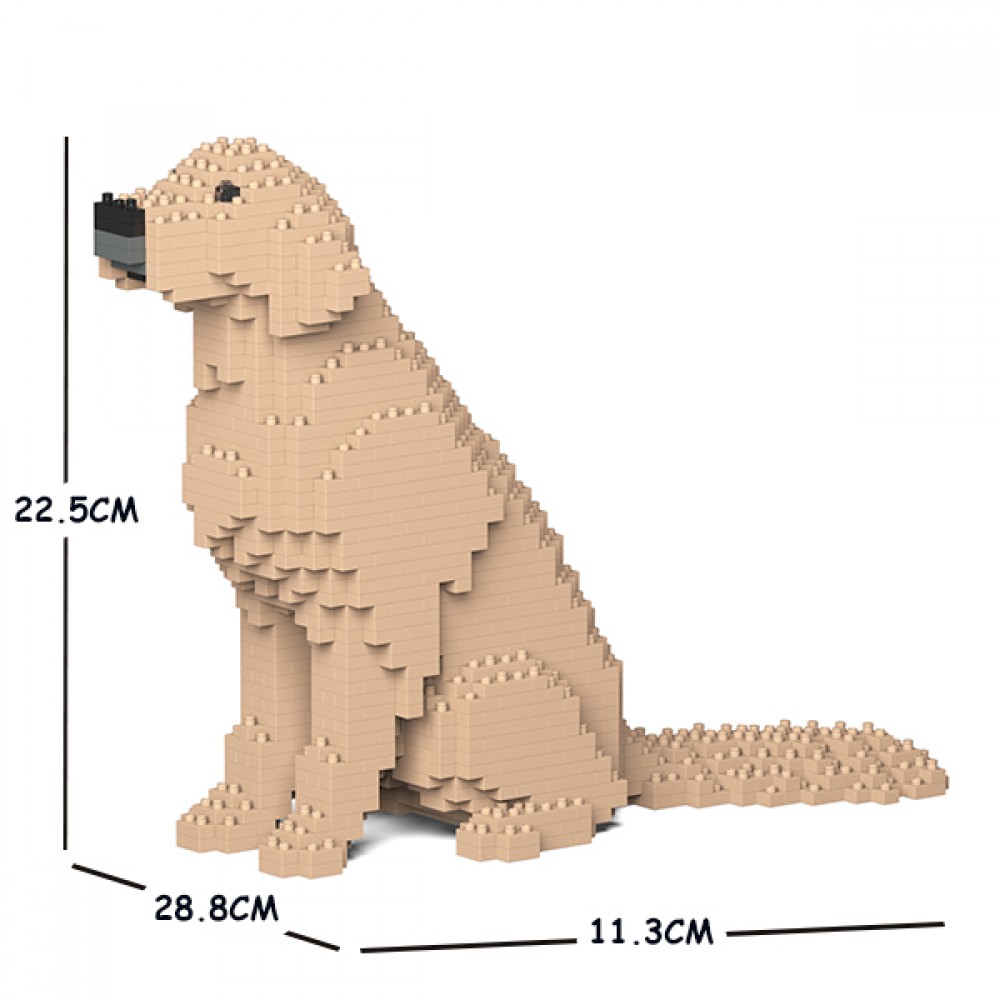 Golden_retriever_jecka_ST19GR03-M03-size-1000x1000 Golden_retriever_jecka_ST19GR03-M03-size-1000x1000