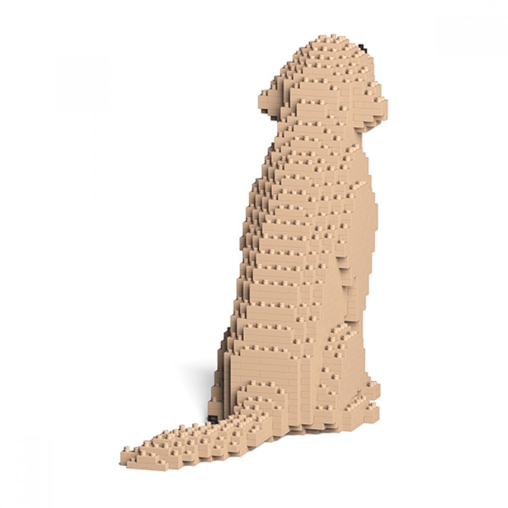 Golden_retriever_jecka_ST19GR03-M03-size-1000x1000 Golden_retriever_jecka_ST19GR03-M03-size-1000x1000