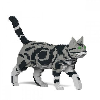 American Shorthair Cat 02S-M01_jecka_costruzione_adulti
